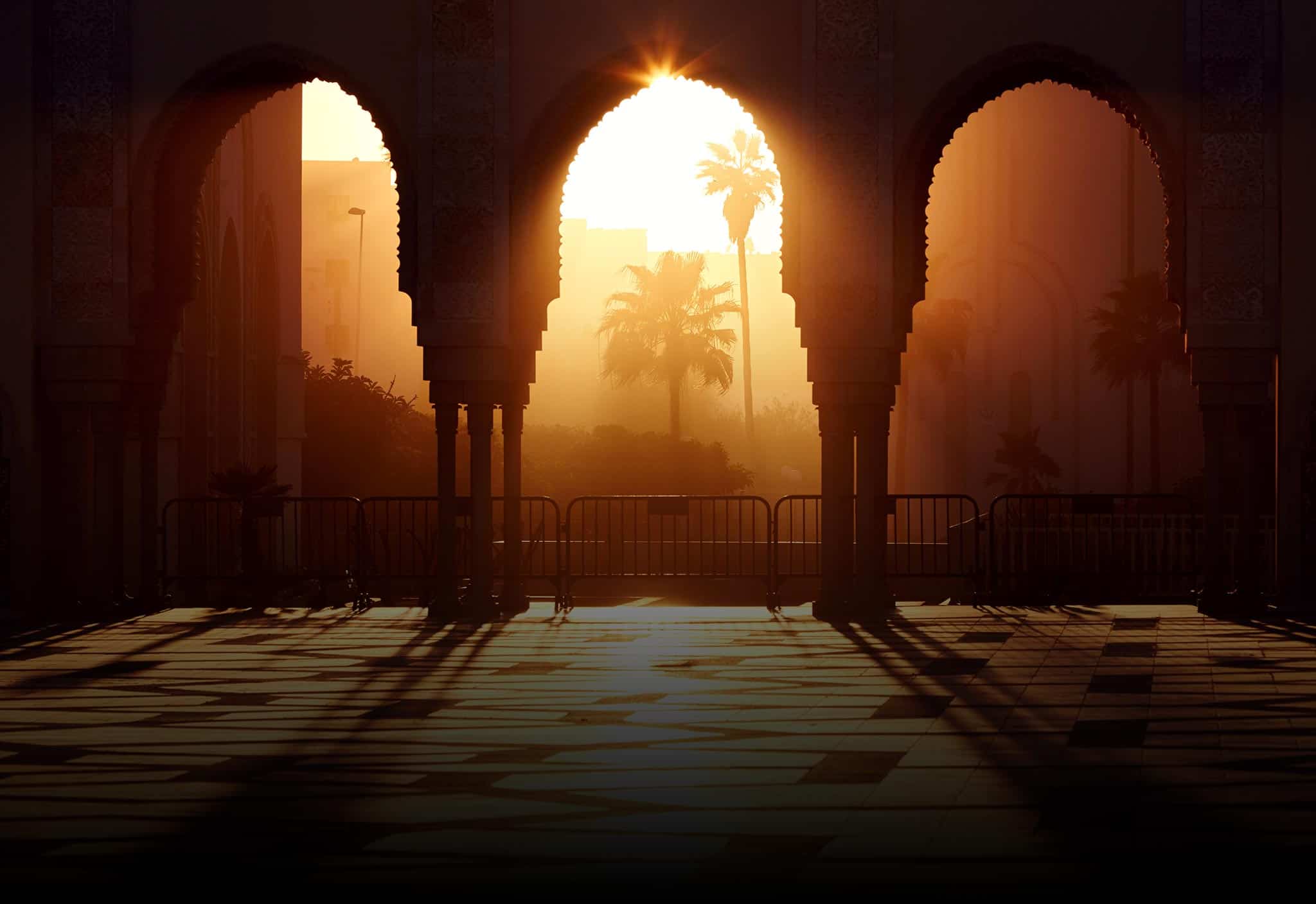 Marvelous Marrakech Collections #31489